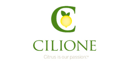 cilione